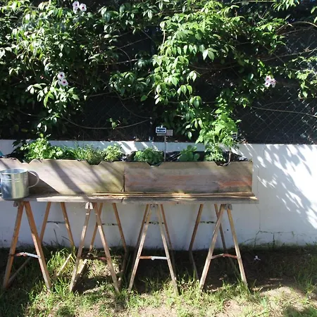 Santa Cruz House Holiday home *