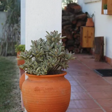 Holiday home Santa Cruz House *