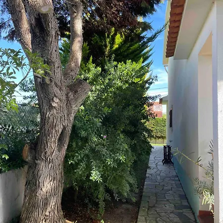 Santa Cruz House Holiday home Areias (Lisbon)