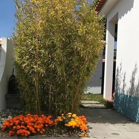 Santa Cruz House Holiday home Areias (Lisbon)