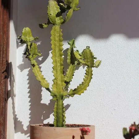 Santa Cruz House Holiday home *