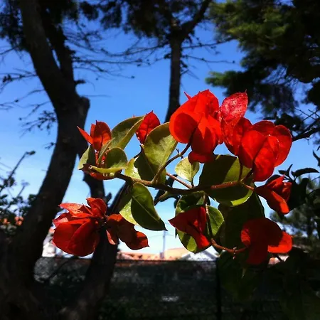 Santa Cruz House 度假居 *