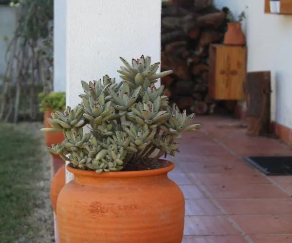 Casa vacanze Santa Cruz House *