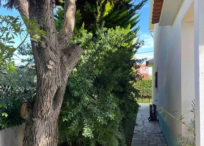 Santa Cruz House Casa vacanze Areias (Lisbon)