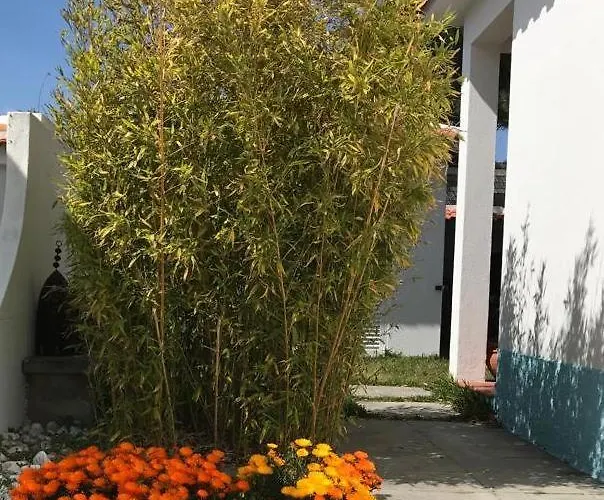 Santa Cruz House Casa vacanze Areias (Lisbon)