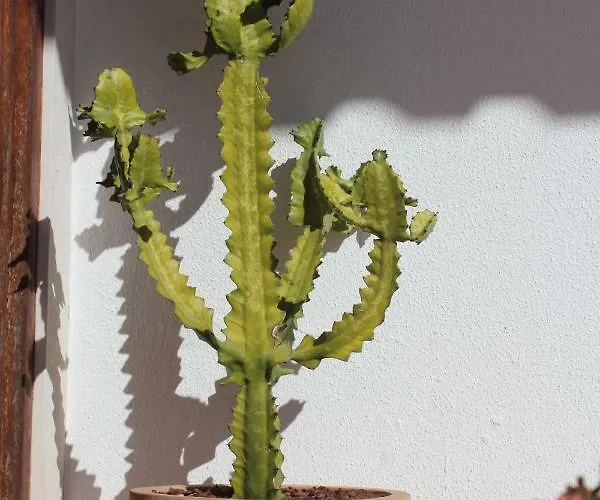 Santa Cruz House Casa vacanze *