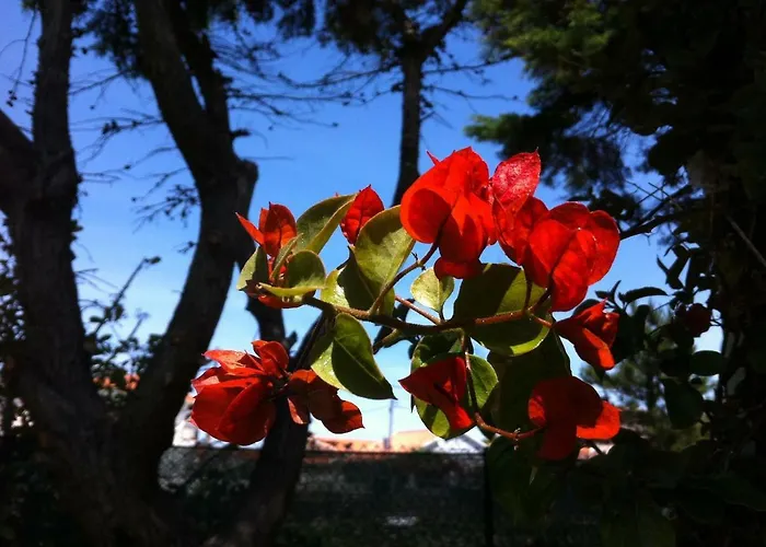 Santa Cruz House Casa vacanze *